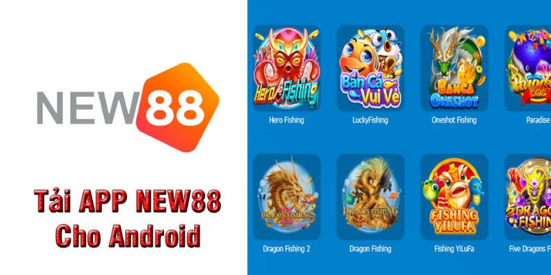 Lưu ý khi tải app New88