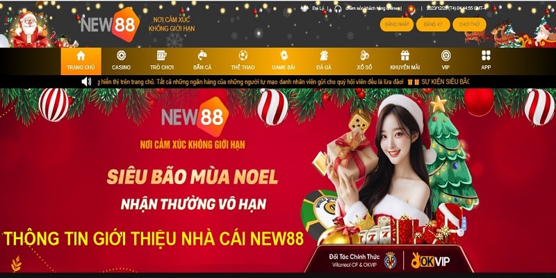 Thông tin giới thiệu đôi nét về nhà cái New88