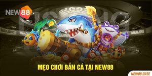 Mẹo chơi bắn cá tại New88