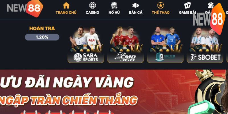 Hướng dẫn đặt cược kèo chấp Score Box